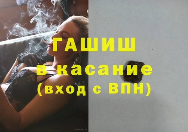 стаф Богородицк