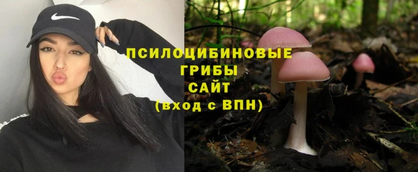 соль ск Богданович