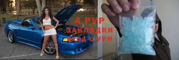 стаф Богородицк