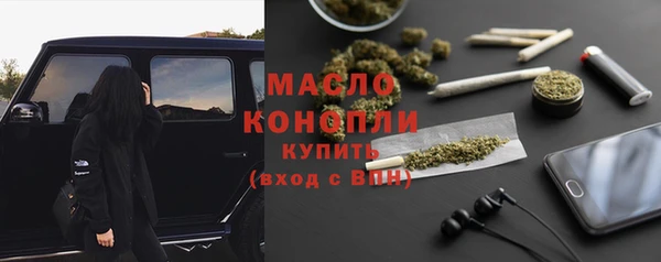 индика Белокуриха