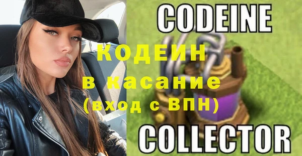 индика Белокуриха