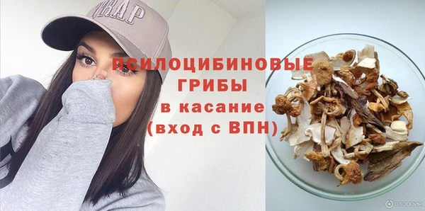 индика Белокуриха
