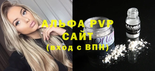 стаф Богородицк