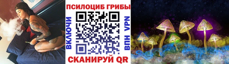 Псилоцибиновые грибы Cubensis  Благовещенск 